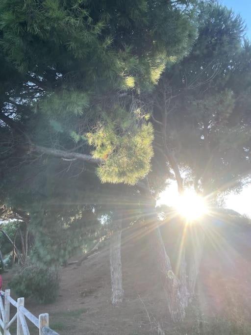 Estupendo Duplex A 5 Min Andando De La Playa Apartment Marbella Bagian luar foto